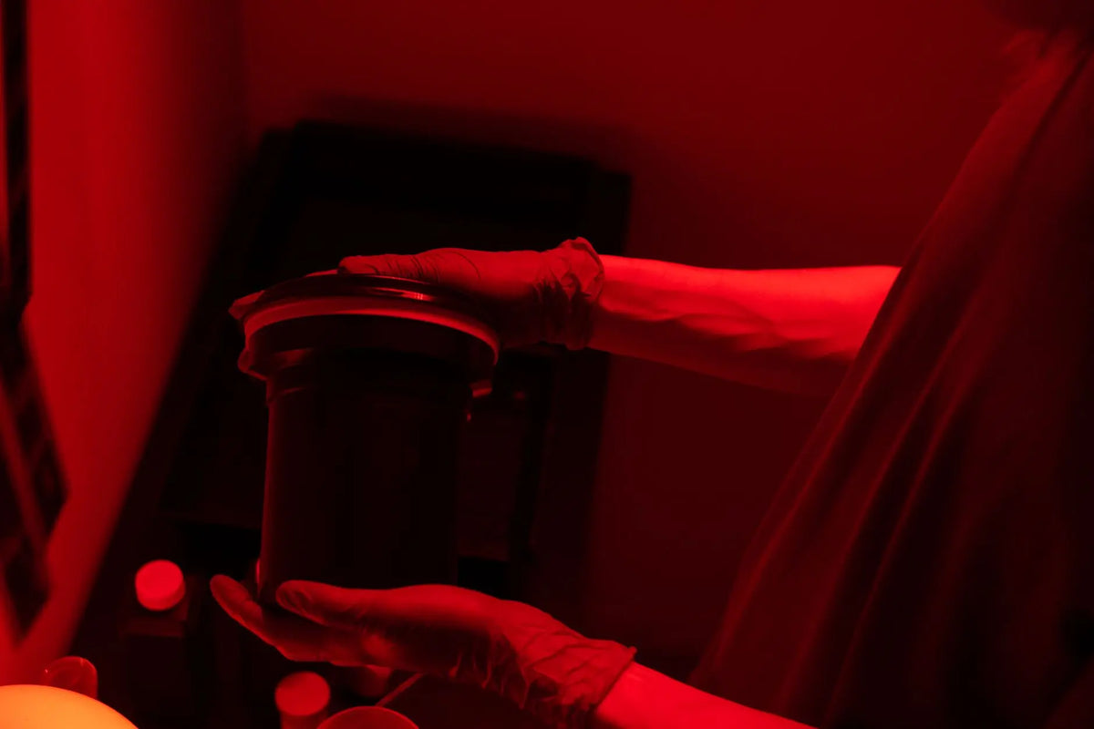A photographer's hands carefully handling film in a red-lit darkroom.