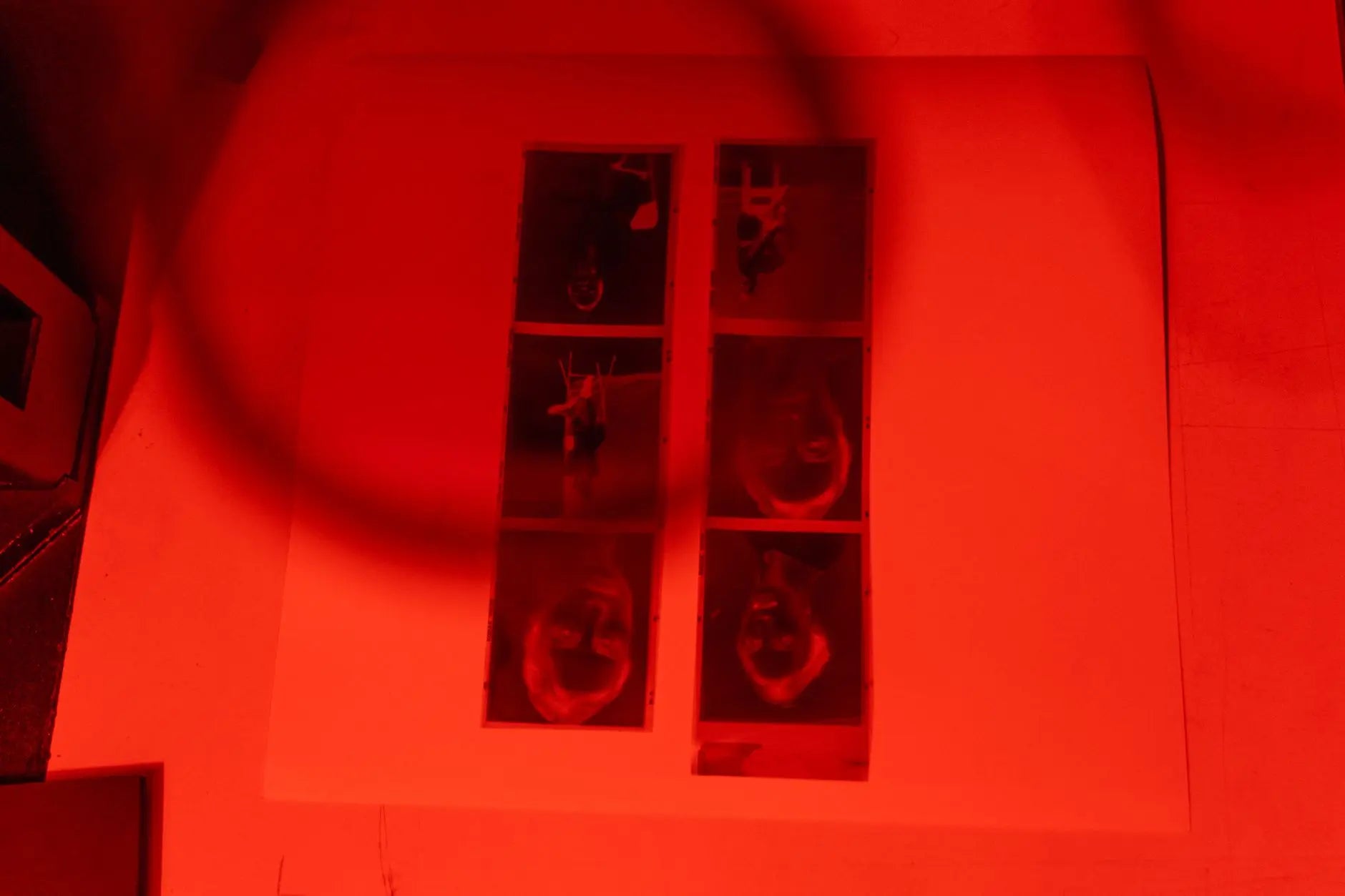 Close-up of film strips under red light during photography print development process.