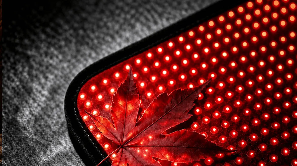 Top 5 Wondear Red Light Therapy Mats for Effective Tendonitis Relief in 2026 wondear