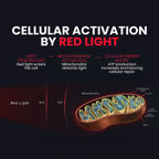 Wondear Red Light Therapy Full Body Mat