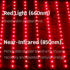 Red Light Therapy Bag – Full Body Infrared LED Recovery Wrap wondear